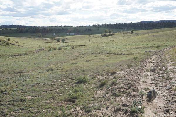 1022 Walls ST, Hartsel, CO 80449