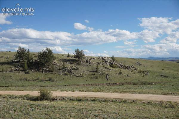 1022 Walls Street, Hartsel, CO 80449