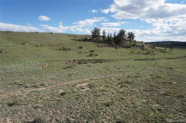 1022 Walls ST, Hartsel, CO 80449