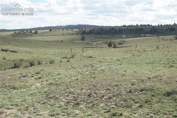 1022 Walls Street, Hartsel, CO 80449