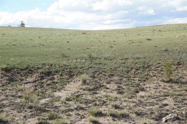 907 Walls ST, Hartsel, CO 80449