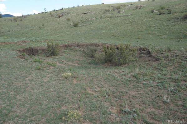 1022 Walls ST, Hartsel, CO 80449