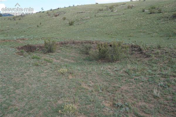 1022 Walls Street, Hartsel, CO 80449