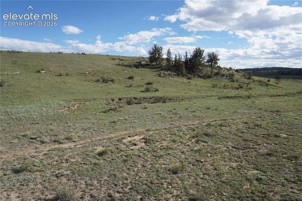 1022 Walls Street, Hartsel, CO 80449
