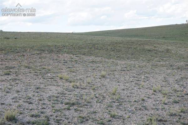 907 Walls Street, Hartsel, CO 80449