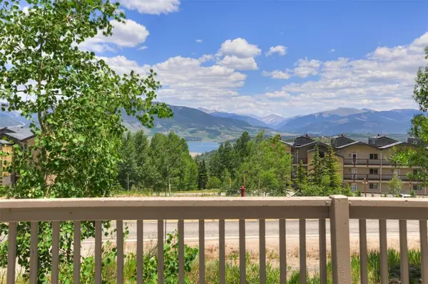 307 Saddle Ridge DR #307, Wildernest, CO 80498