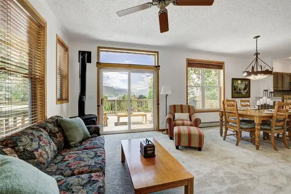 307 Saddle Ridge DR #307, Wildernest, CO 80498