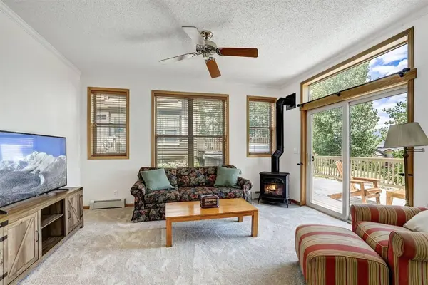 307 Saddle Ridge DR #307, Wildernest, CO 80498