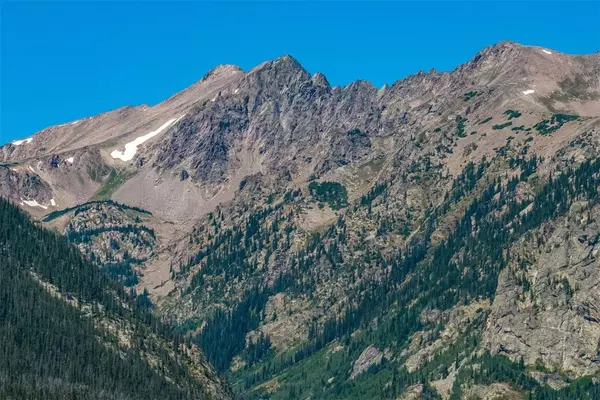 89310 Ryan Gulch RD #403, Wildernest, CO 80498