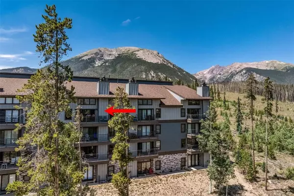 89310 Ryan Gulch RD #403, Wildernest, CO 80498