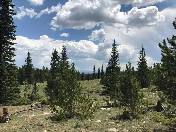 4 Timberline TRL, Fairplay, CO 80440