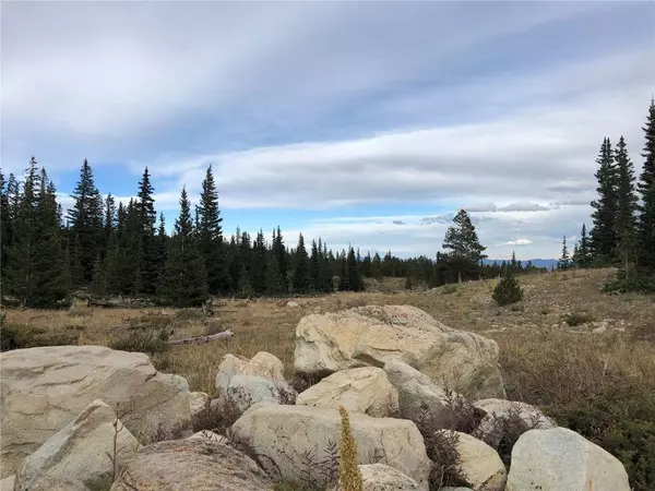 4 Timberline TRL, Fairplay, CO 80440