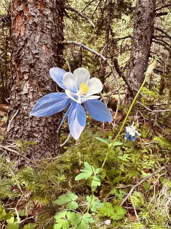 4 Timberline TRL, Fairplay, CO 80440