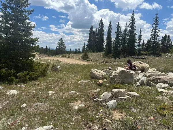 4 Timberline TRL, Fairplay, CO 80440