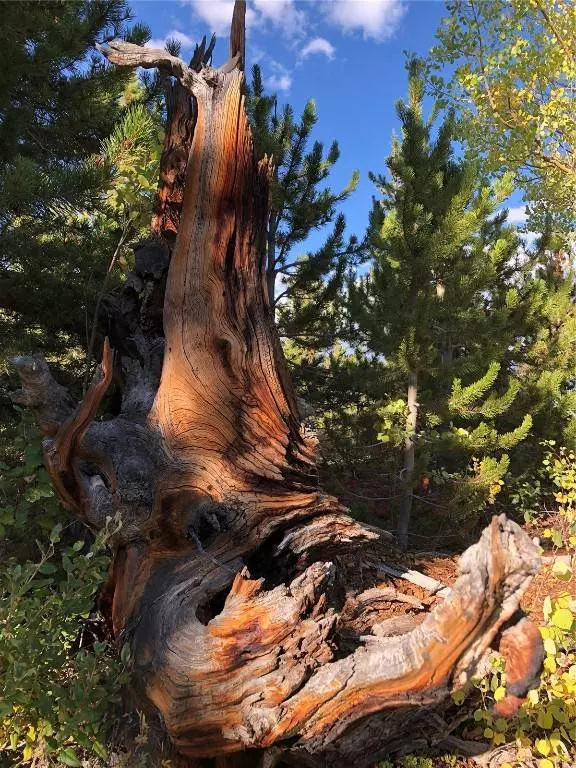 4 Timberline TRL, Fairplay, CO 80440