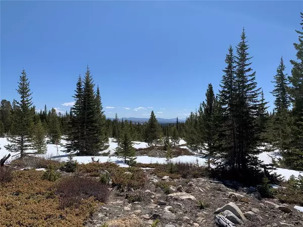 4 Timberline TRL, Fairplay, CO 80440