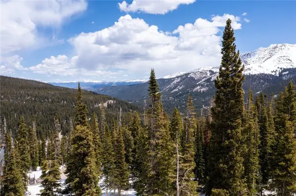 356 Hamilton LN, Breckenridge, CO 80424