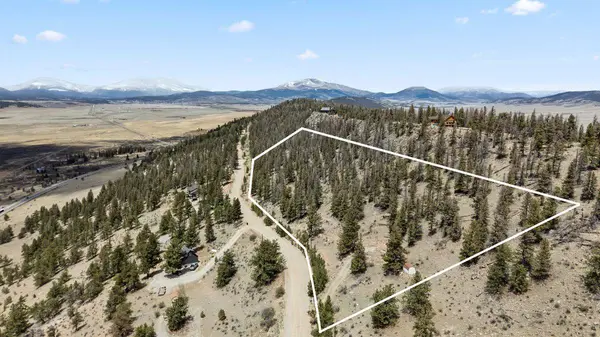 2120 Bonell DR, Fairplay, CO 80440
