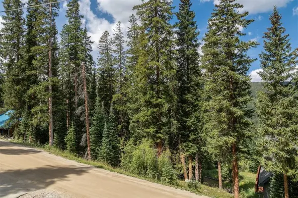 712 Doris DR, Breckenridge, CO 80424