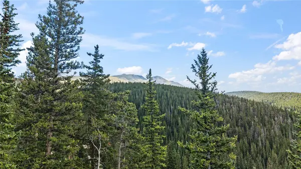 177 Goldenview DR, Breckenridge, CO 80424