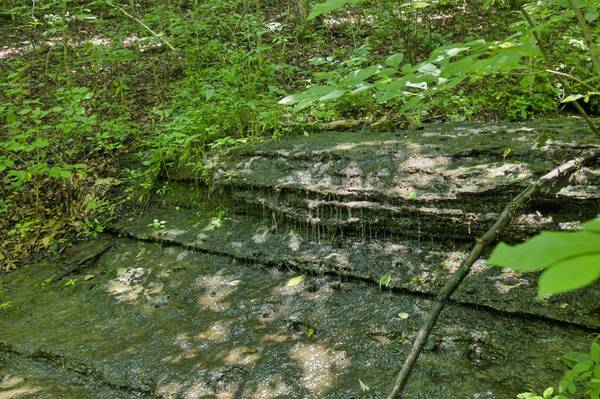 5723 Quest Ridge Rd, Franklin, TN 37064