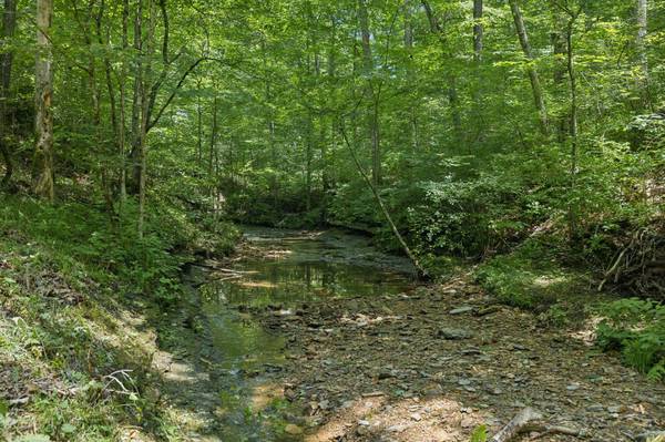 5723 Quest Ridge Rd, Franklin, TN 37064