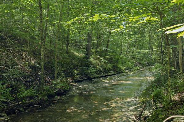 5723 Quest Ridge Rd, Franklin, TN 37064