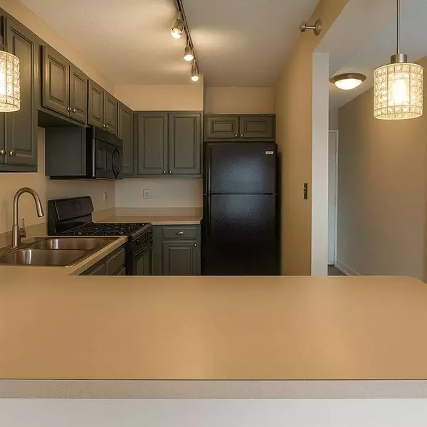 2479 Peachtree RD NE #1512, Atlanta, GA 30305