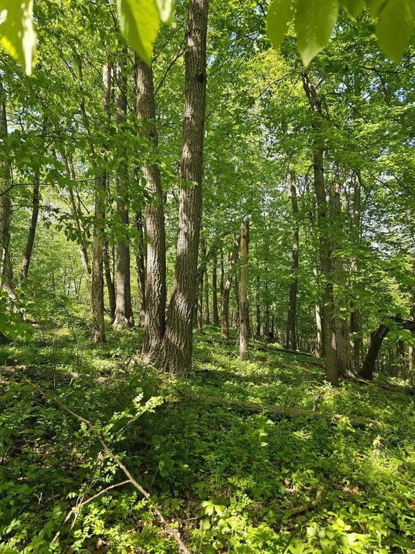 10992 E State Highway 56 Hwy, Liberty, WI 54664