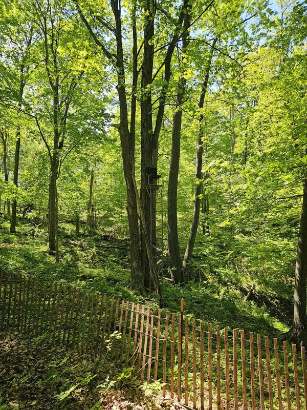 10992 E State Highway 56 Hwy, Liberty, WI 54664