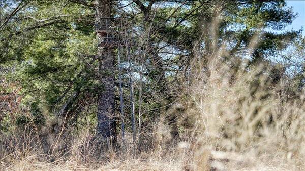 LOT 1 COUNTY HIGHWAY II -, Lafayette, WI 54656