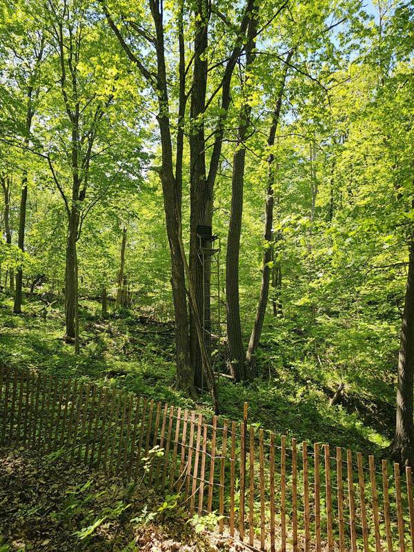 10992 E State Highway 56 Hwy, Liberty, WI 54664