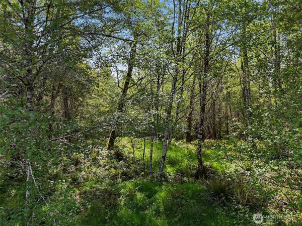 1420 South Bend Rd, Raymond, WA 98577