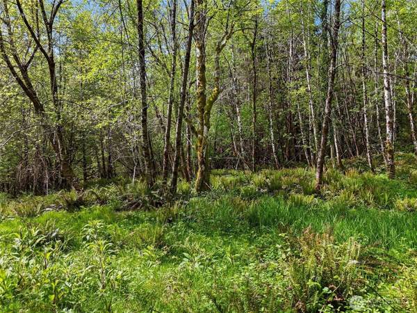 1420 South Bend Rd, Raymond, WA 98577