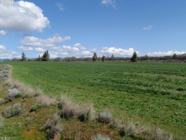 lightening lane, Goldendale, WA 98620