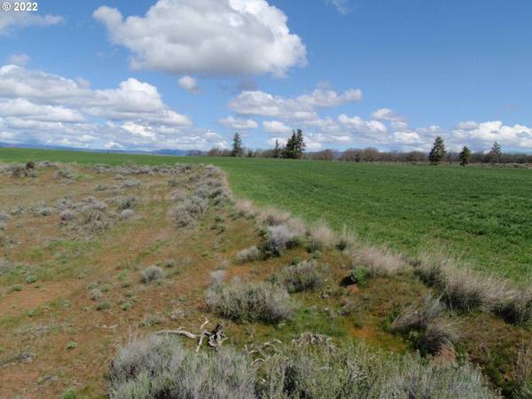 lightening lane, Goldendale, WA 98620