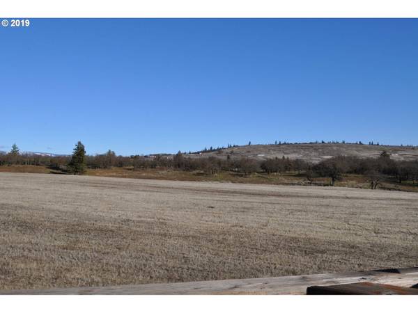 lightening lane, Goldendale, WA 98620