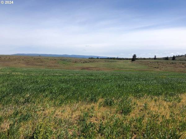 17 LIGHTNING LN, Goldendale, WA 98620