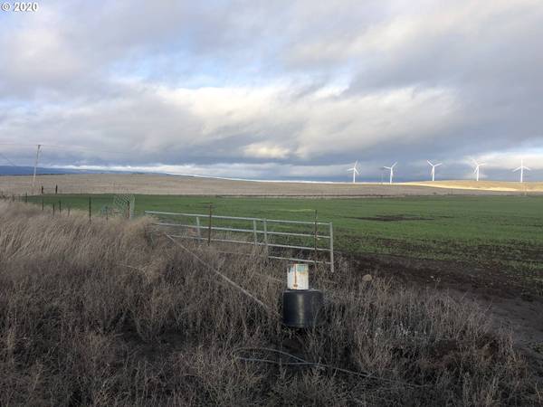 950 HOCTOR RD, Goldendale, WA 98620