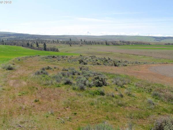 lightening lane, Goldendale, WA 98620