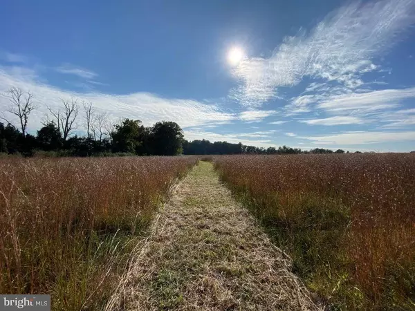 641 CAFFERTY RD, Ottsville, PA 18942