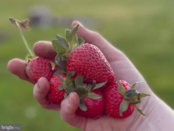 641 CAFFERTY RD, Ottsville, PA 18942