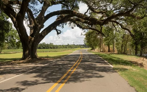 Moving to the Country? What Homebuyers in Northwest Louisiana Should Know