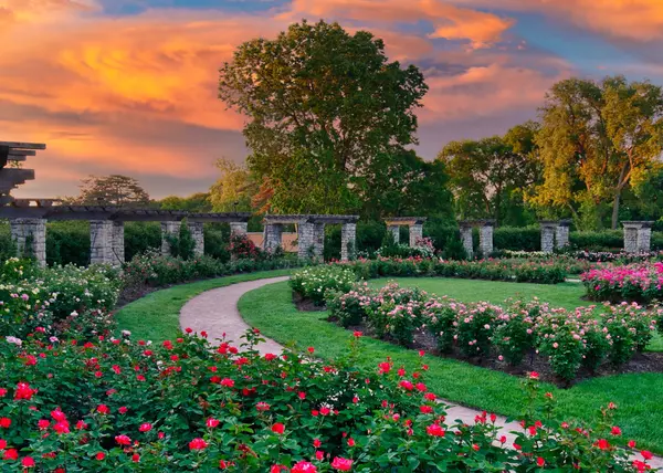 Summer Landscaping Trends in NWLA
