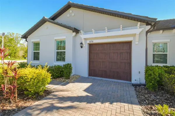 16710 SHELL BAY DR, Land O Lakes, FL 34638