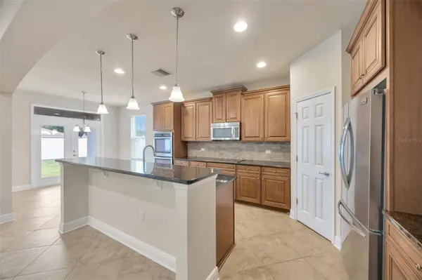 1229 HILLANDALE RESERVE DR, Tampa, FL 33613
