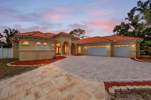 8610 VIVIAN BASS WAY, Odessa, FL 33556