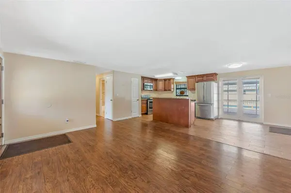 14535 SASSANDRA DR, Odessa, FL 33556