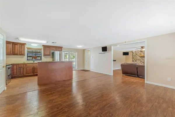 14535 SASSANDRA DR, Odessa, FL 33556