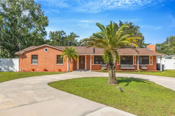 14535 SASSANDRA DR, Odessa, FL 33556